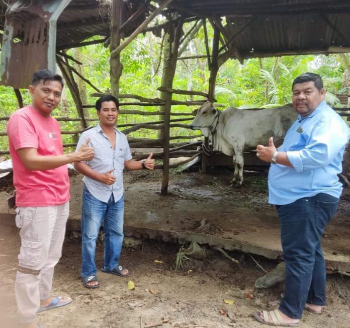 Foto ketua Ikatan Keluarga Kampar (IKK) Ngadino kiri dan panitia menunjukkan lembu sebagai hadiah lomba mancing